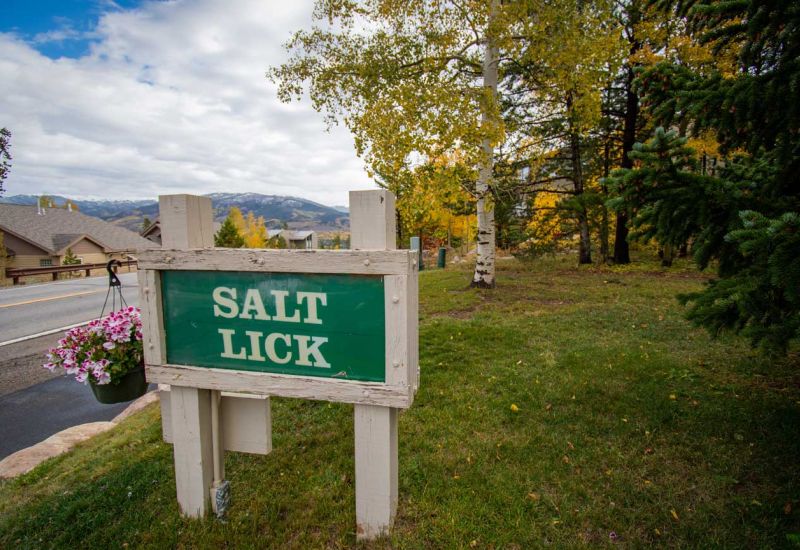 Salt Lick Condominium Association